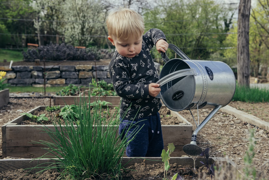 Best Vegetables for Container Gardening