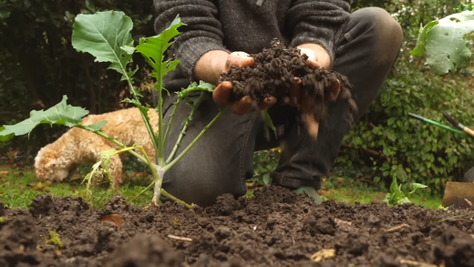 How to Maintain Soil Health