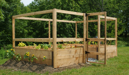 Buying Vegetable Garden Kits Online