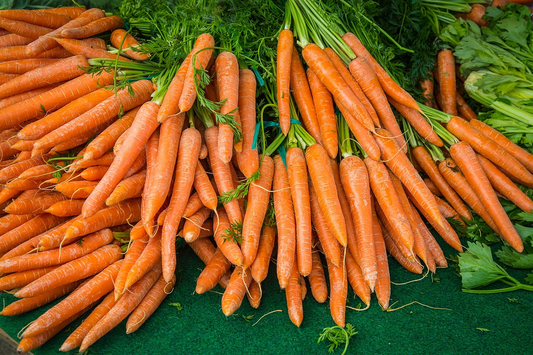 How to Grow Carrots from Seeds