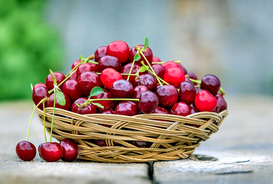 How to grow cherry trees from seeds