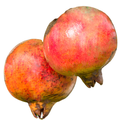 Salavatski Pomegranate