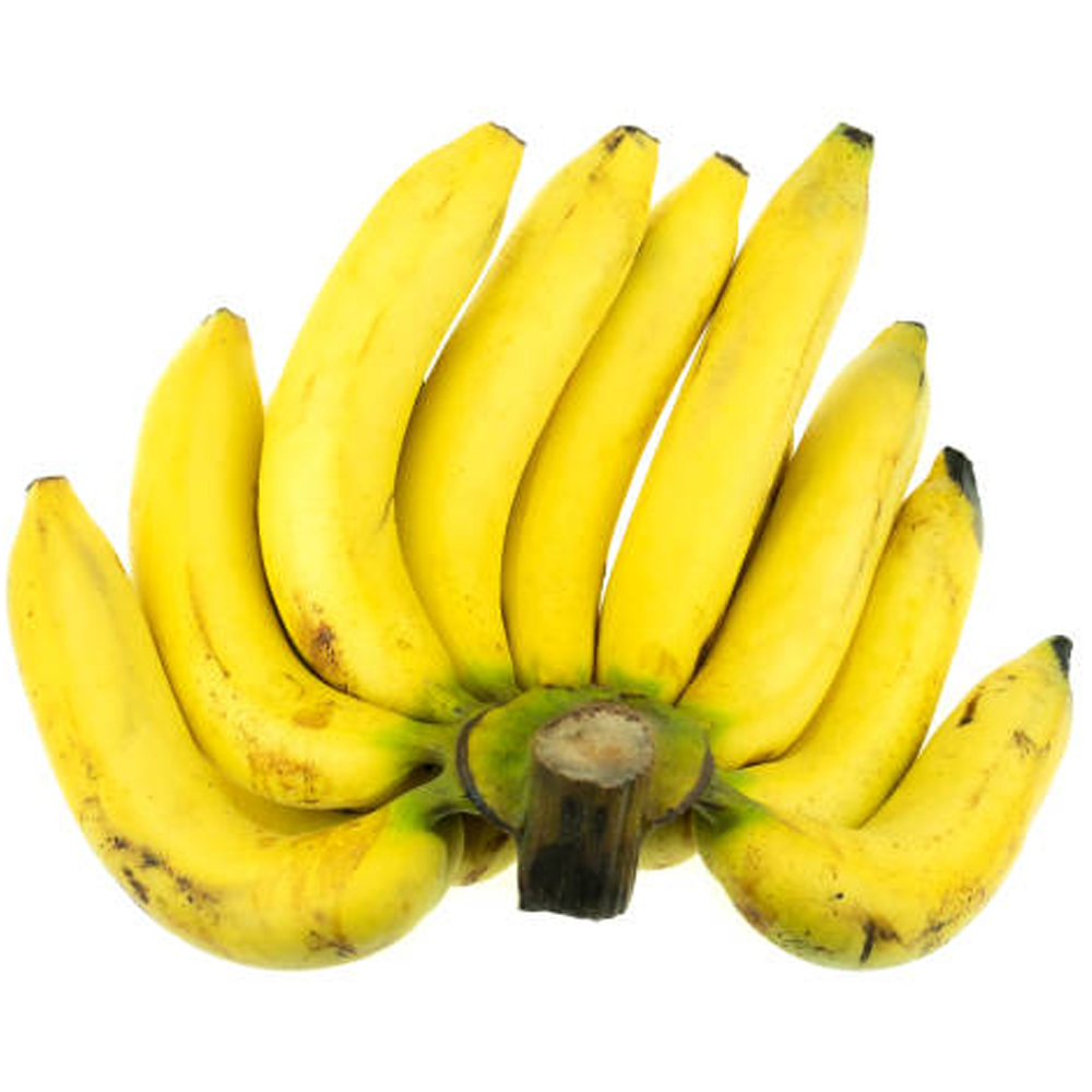 Gros Michel Edible Banana