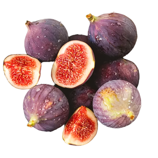 Fig Tree Combo Pack Cold Weather 4 Varieties