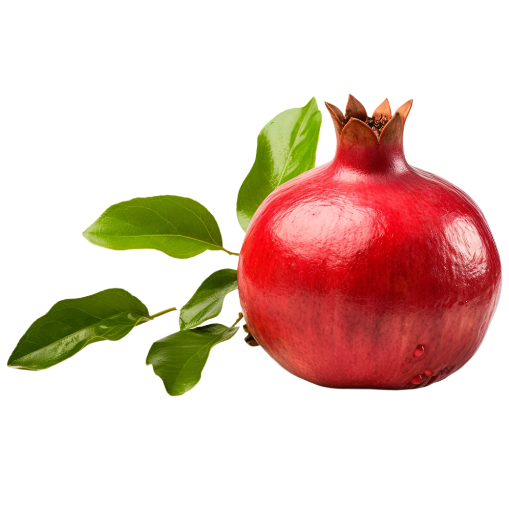 Pomegranate And Fig Tree - Fruit Trees Live Plant - Easy Plant