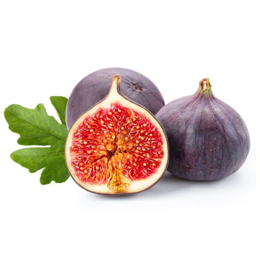 Live Fig Trees Instant Orchard Special! 8 COLD HARDY VARIETIES!