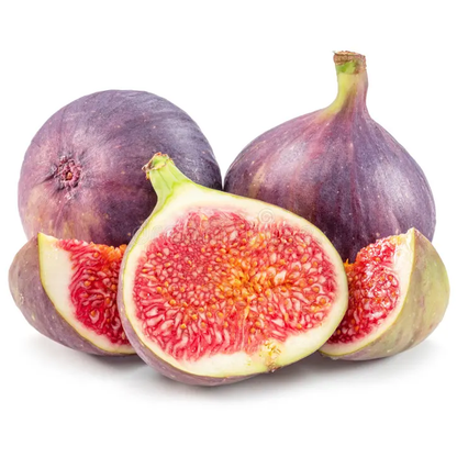 Fignomenal Fig (Ficus carica) LOWEST PRICE - Edible Fig