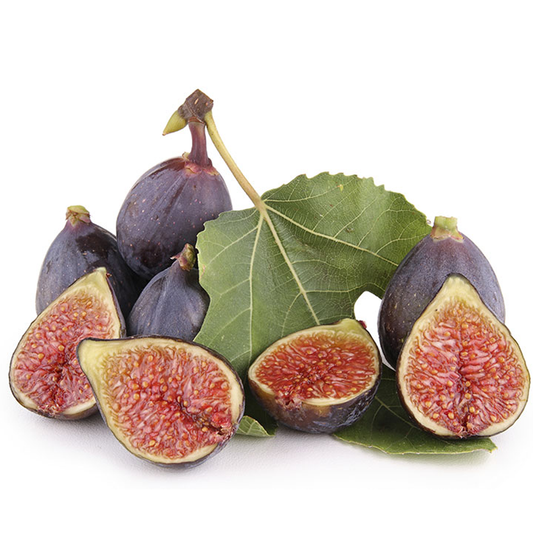 Fig Tree Edible 3 Live Plants : Violet de Bordeaux, Black Mission White Marseilles