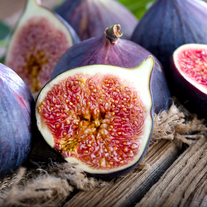 Fig Tree Edible Live 2 Plants : Violet De Bordeaux And Olympian