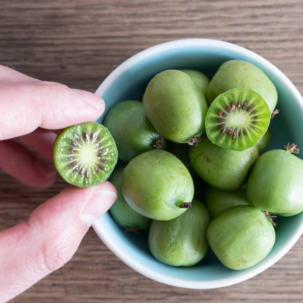 Issai Kiwi 2 Plants