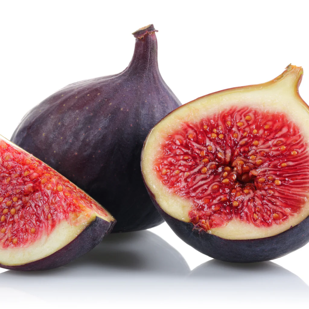 Fig Tree Edible Live Plants : Violet de Bordeaux, Black Mission White Marseilles