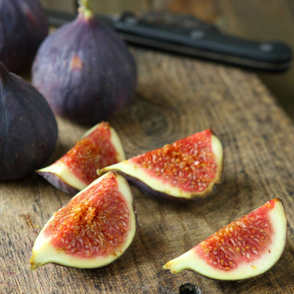 Fig Tree Combo Pack Cold Weather 4 Varieties