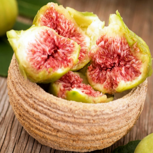 Ischia Fig - 4 Ficus carica 