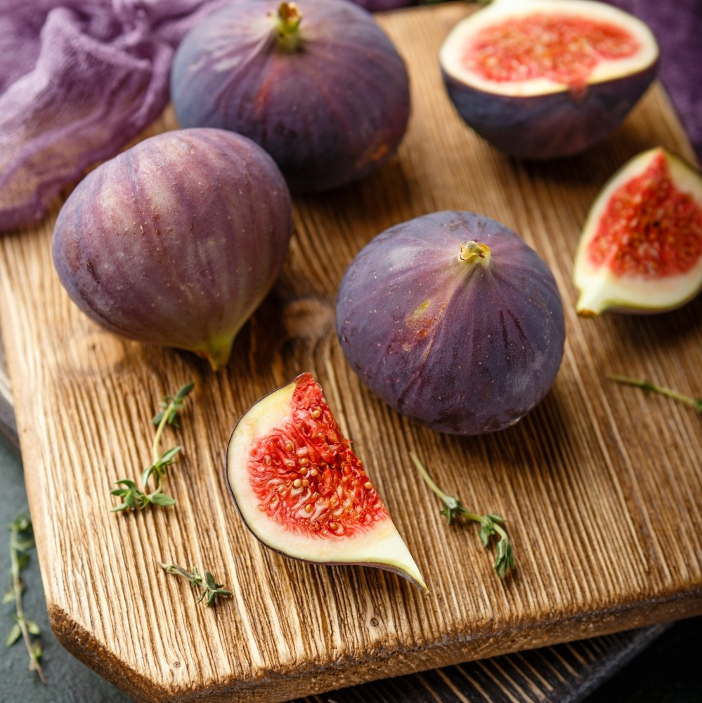 Fignomenal Fig (Ficus carica) LOWEST PRICE - Edible Fig