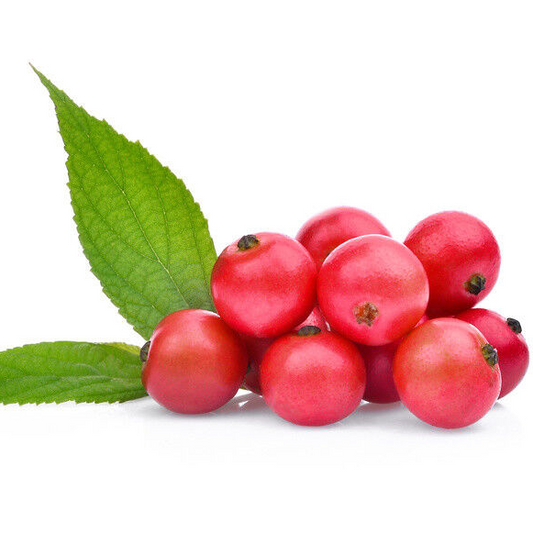 Jamaican Cherry Strawberry 2 Trees - Muntingia - Edible Cherry