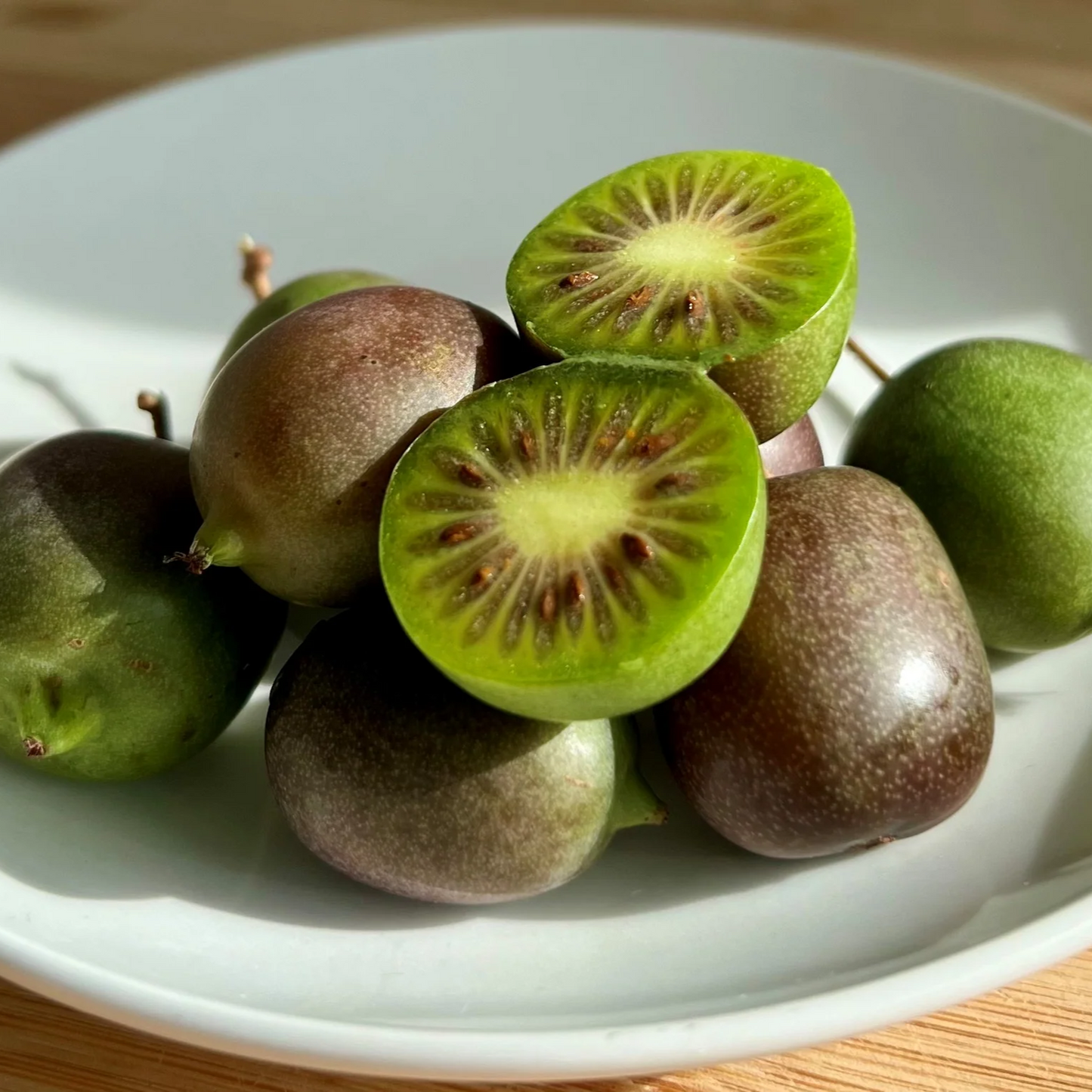 1 Kiwi Prolific Vine - Self Pollinating