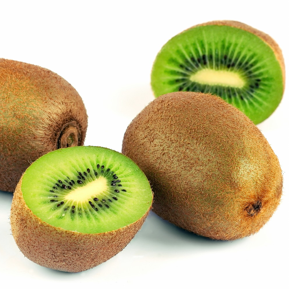 Female Kiwi - Actinidia chinensis - Female Vincent ! Live Plant