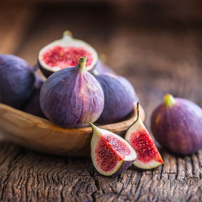 Fig Tree Edible Live Plants 2 Violet de Bordeaux