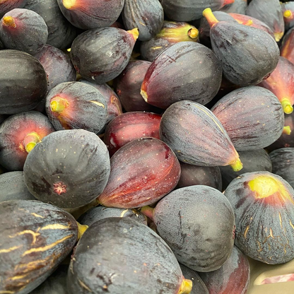 Bundle : 1 Kiwi Prolific vine.-1 Black Mission-1 Violet de Bordeaux - 2 Purple Possum