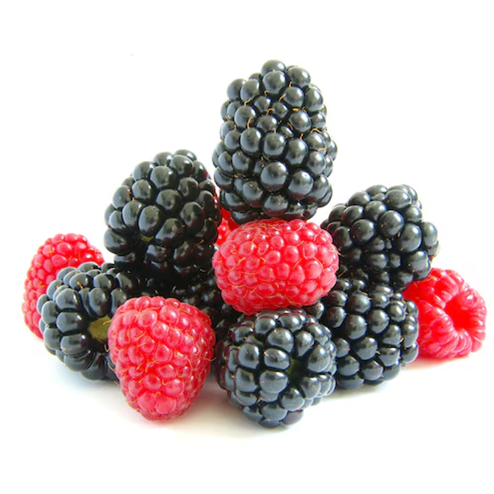 Blackberry And Raspberry Combo - 3 Varieties 6 Plants