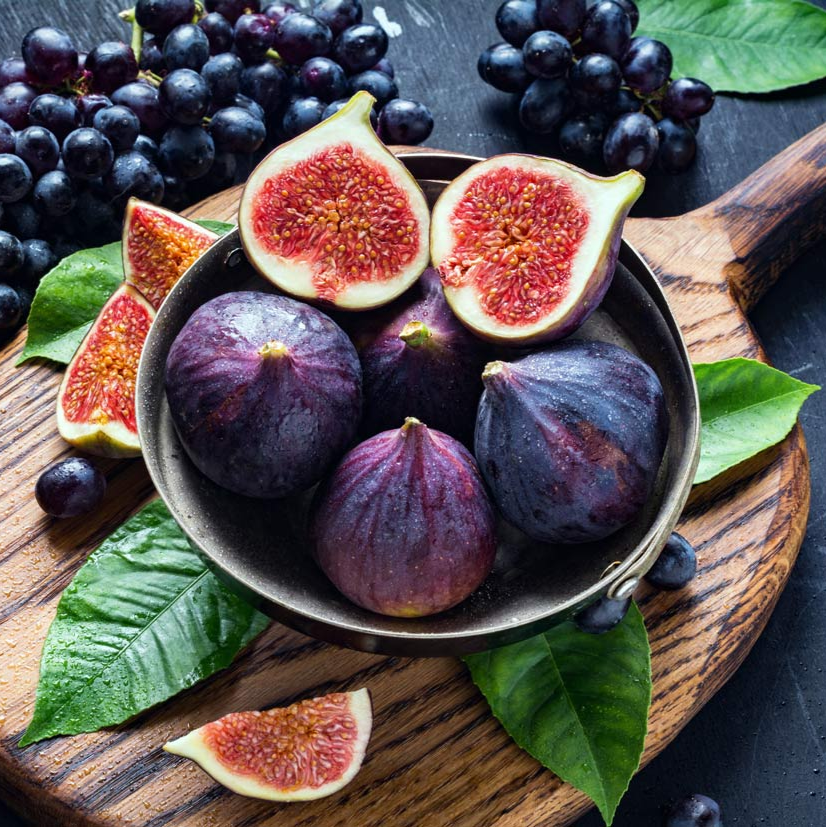 Live Fig Trees Instant Orchard Special! 8 COLD HARDY VARIETIES!