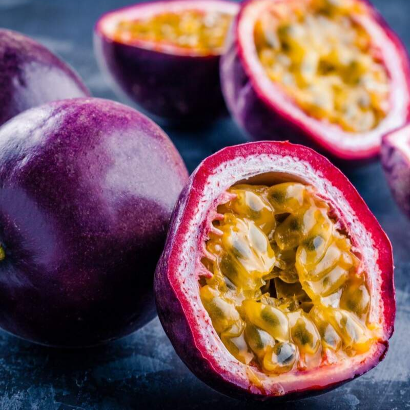 Passion Fruit - Possum Purple - Passiflora edulis 1 Live Plant