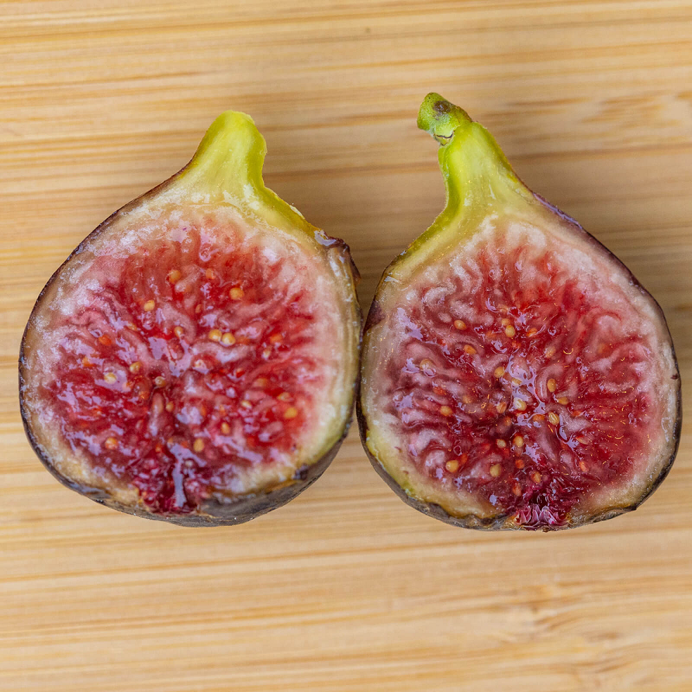 Live Fig Trees Instant Orchard Special! NOW 8 COLD HARDY VARIETIES