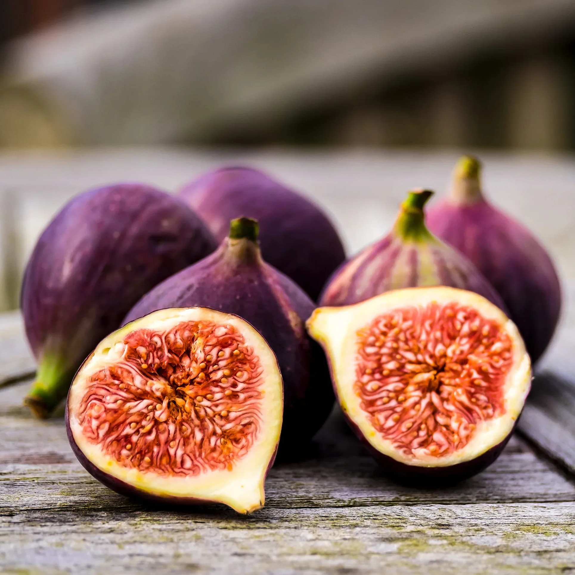 Pomegranate And Fig Tree - Fruit Trees Live Plant